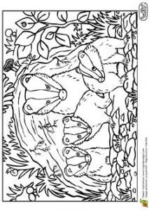 Coloriage Point D Interrogation Les 13 Meilleures Images De Coloriage