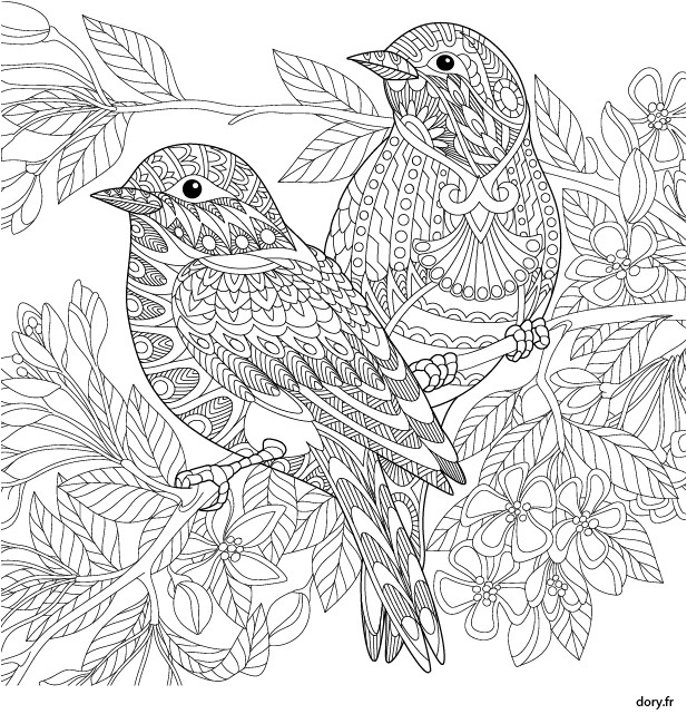 Coloriage Pour Adulte A Imprimer Gratuit Coloriage Adultes Des Oiseaux Dory Coloriages