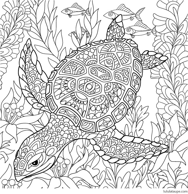 Coloriage Pour Adulte Anti Stress à Imprimer Coloriage Antistress Une tortue Marine Lulu La Taupe
