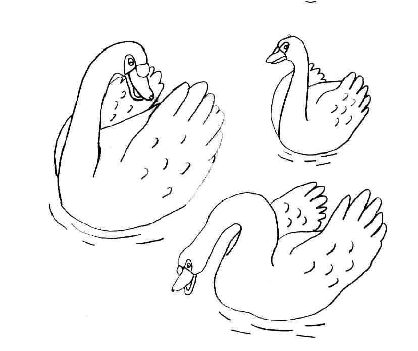 Coloriage Pour Enfant Com Coloriage Pour Enfant Cygne