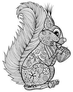 Coloriage Quad à Imprimer Les 199 Meilleures Images De Dessin Colorier