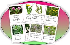 Coloriage Rentrée école Maternelle 49 Meilleures Images Du Tableau Montessori Lecture En 2019