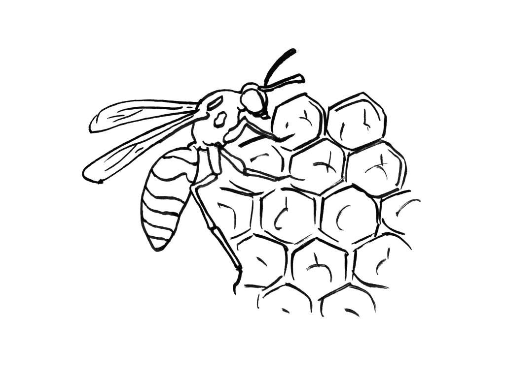 Coloriage Ruche D Abeille Dessin Abeille Ruche Yx19 7673 Dessin Ruche Abeille
