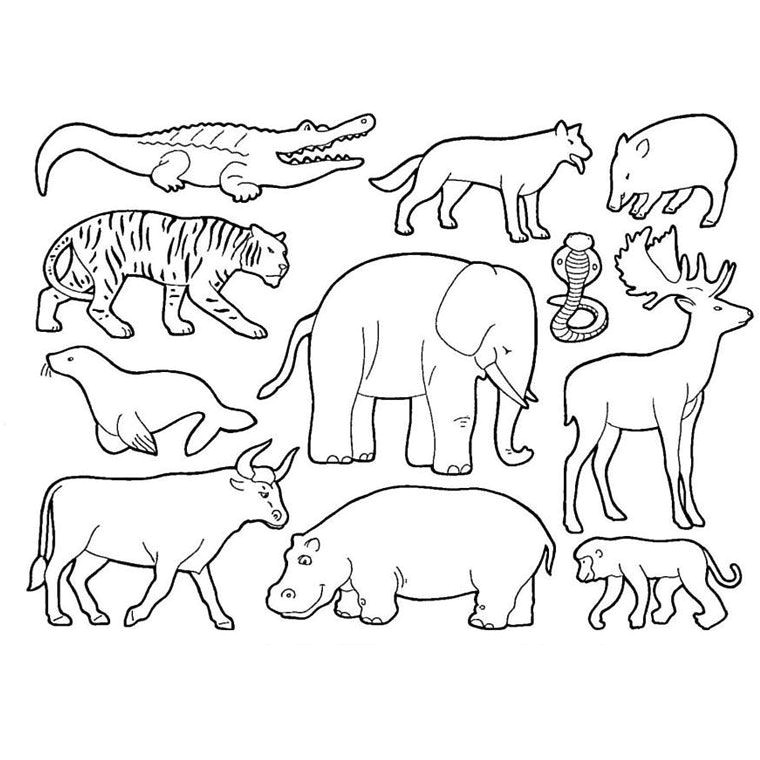Coloriage Savane Imprimer Gratuit Coloriage Animaux De La Savane