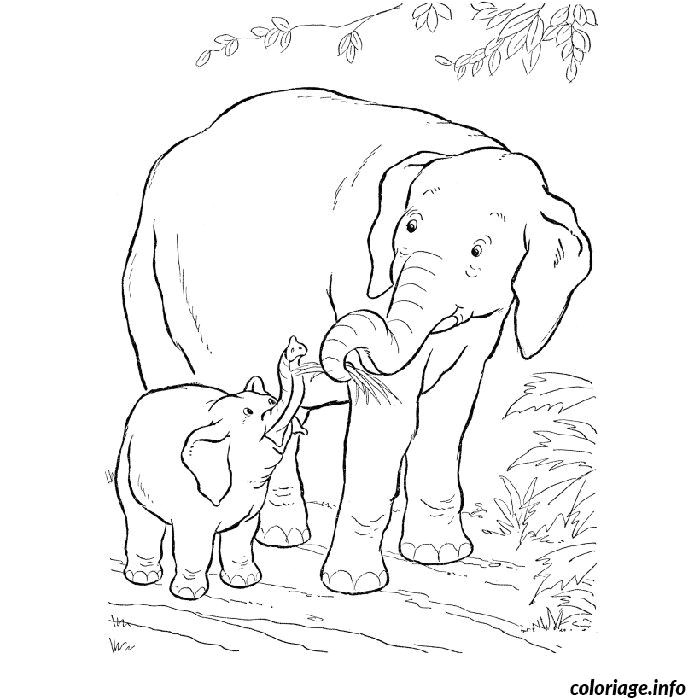 Coloriage Savane Imprimer Gratuit Coloriage Elephant Savane Jecolorie