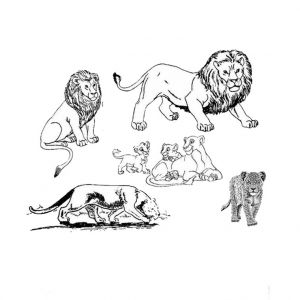 Coloriage Sur L Afrique Coloriage Afrique Maternelle Imprimer