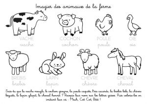 Coloriage Sur Les Animaux De La Ferme Coloriage à Imprimer Imagier Des Animaux De La Ferme