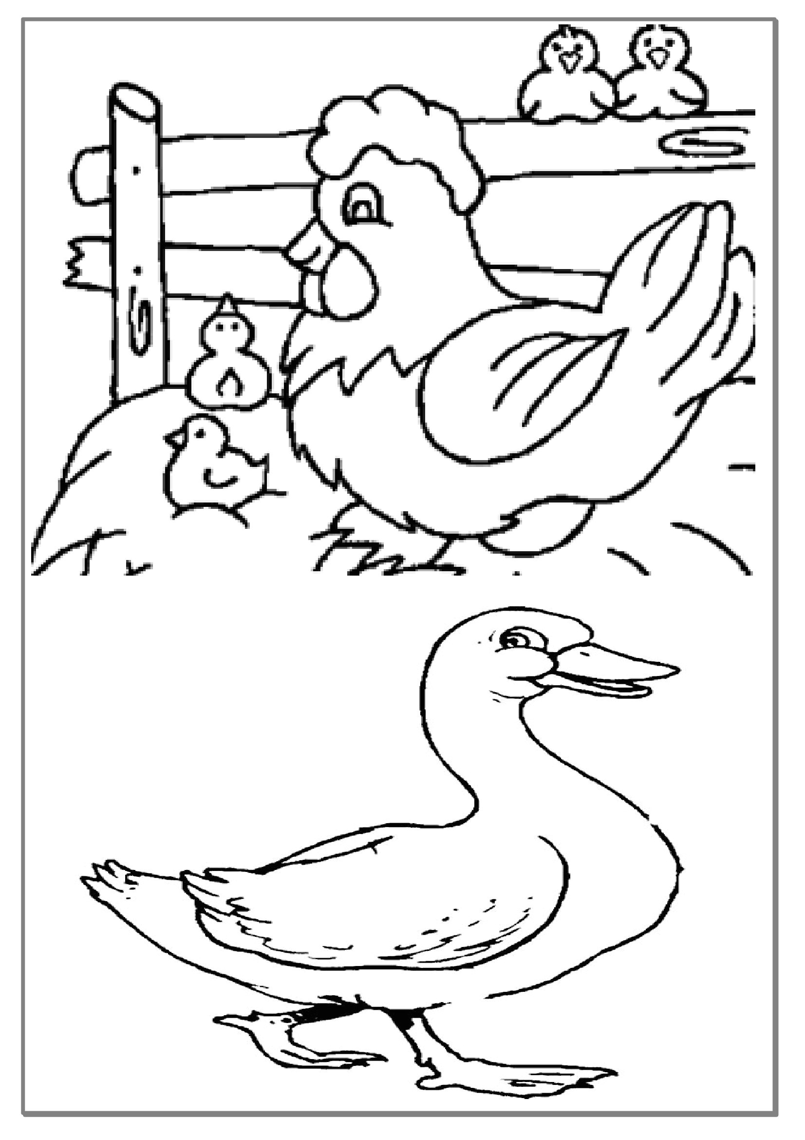 Coloriage Sur Les Animaux De La Ferme Coloriage Les Animaux De La Ferme Preprof