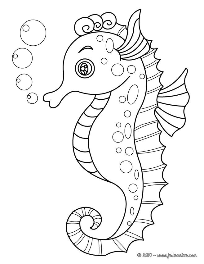 Coloriage Sur ordinateur Animaux Coloriage Magique Hippocampe Fresh Coloriage Hippocampe