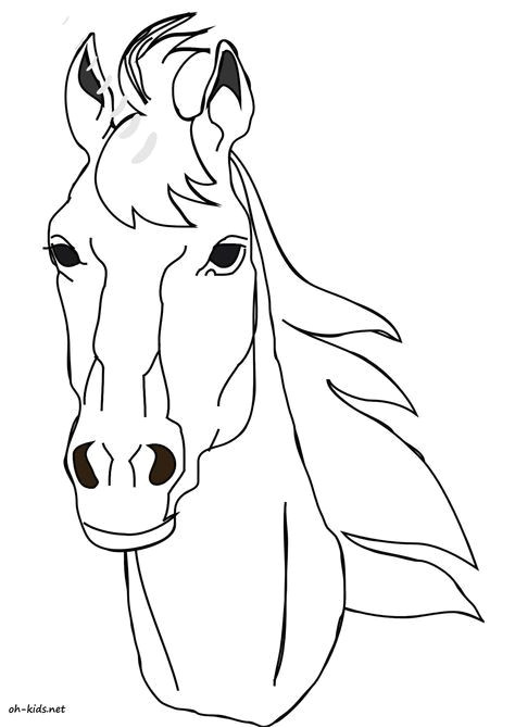 Coloriage Tete De Licorne Dessin De Tªte De Cheval   Colorier Image 1113