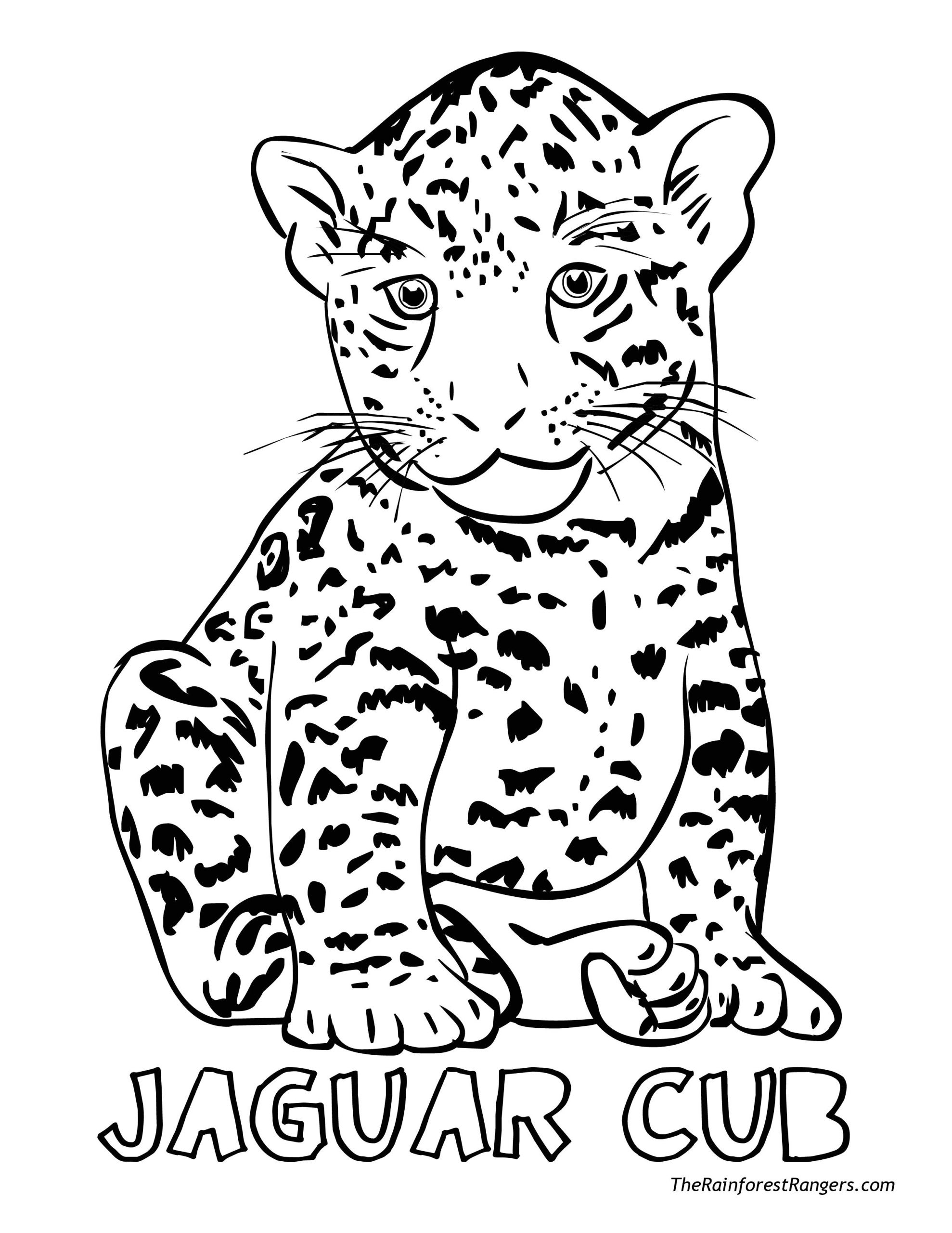 Coloriage Tigre Gratuit A Imprimer épinglé Par Ciboulette Sur Dessins