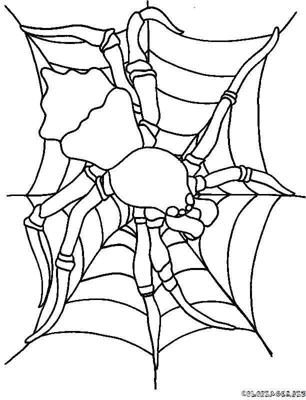 Coloriage toile D Araignée Halloween Coloriage Halloween Araignee Colorier Les Enfants