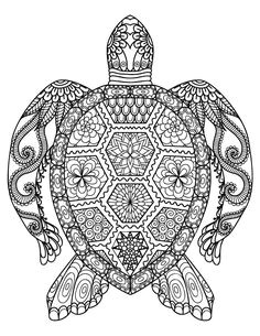 Coloriage tortue à Imprimer Les 199 Meilleures Images De Coloriage D Animaux Animal