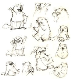 Coloriage Ustensiles De Cuisine à Imprimer 15 Meilleures Images Du Tableau Marmottes