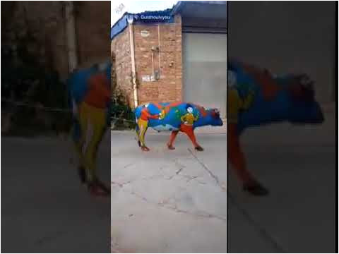 Coloriage Vaiana La Légende Du Bout Du Monde Download L C3 Bd Do M C3 Acnh K E1 Ba Bft Th C3 Bac Ti E1 Ba