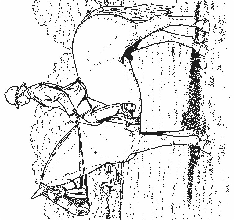 Coloriages De Chevaux A Imprimer Gratuit 119 Dessins De Coloriage Cheval à Imprimer