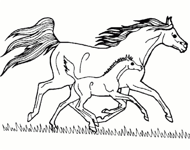 Coloriages De Chevaux A Imprimer Gratuit Coloriage Cheval Et Poulain Au Galop Dessin Gratuit à Imprimer