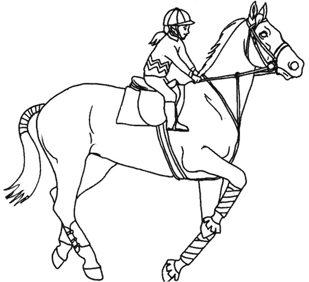 Coloriages De Chevaux A Imprimer Gratuit Nos Jeux De Coloriage Cheval à Imprimer Gratuit Page 21
