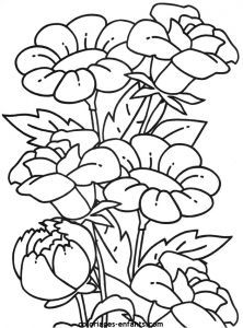 Coloriages Sur Les Fleurs Pour Enfant Les Coloriages D Fleurs à Imprimer Sur Coloriages Enfants