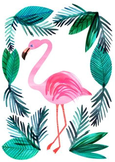 Crayola Kit De Loirsir Créatif Kit Coloriage Et Autocollants Les 119 Meilleures Images De Flamant Rose
