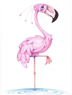 Crayola Kit De Loirsir Créatif Kit Coloriage Et Autocollants Les 119 Meilleures Images De Flamant Rose