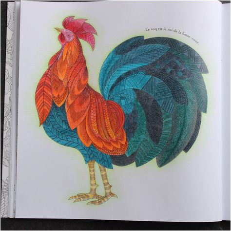 Crayon De Couleur Coloriage Livre "animaux Fantastiques" Crayons De Couleurs