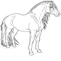 Des Coloriages De Cheval â Coloriage De Chevreaux