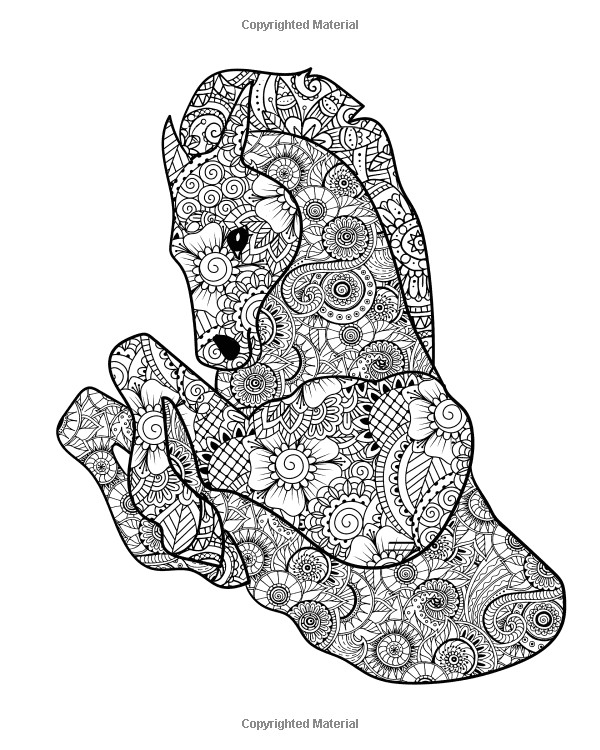 Des Coloriages De Cheval Coloriage Coloriage Chevaux