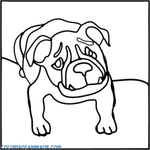 Des Coloriages De tout Coloriage Molosse tout Sage à Imprimer