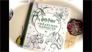 Harry Potter Coloriage Livre Harry Potter Les Créatures Magique Livre De Coloriage