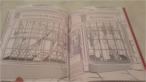 Harry Potter Coloriage Livre Harry Potter Lieux &amp; Personnages Magiques Livre De