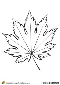 Hugo L Escargot Coloriage Automne 1000 Images About Coloriages Dessins D Automne On