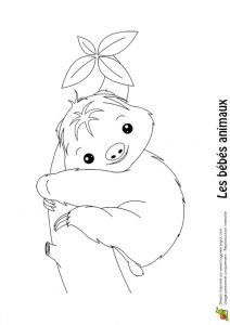 Hugo L Escargot Coloriage De Pokemon Coloriage Hugo L Escargot Petshop