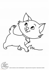 Illusion D Optique Coloriage Elegant Coloriage Chat A Imprimer Gratuit