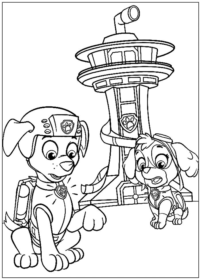Image Coloriage Pat Patrouille â· 1001 Dessins Coloriage Pour Enfant   Imprimer