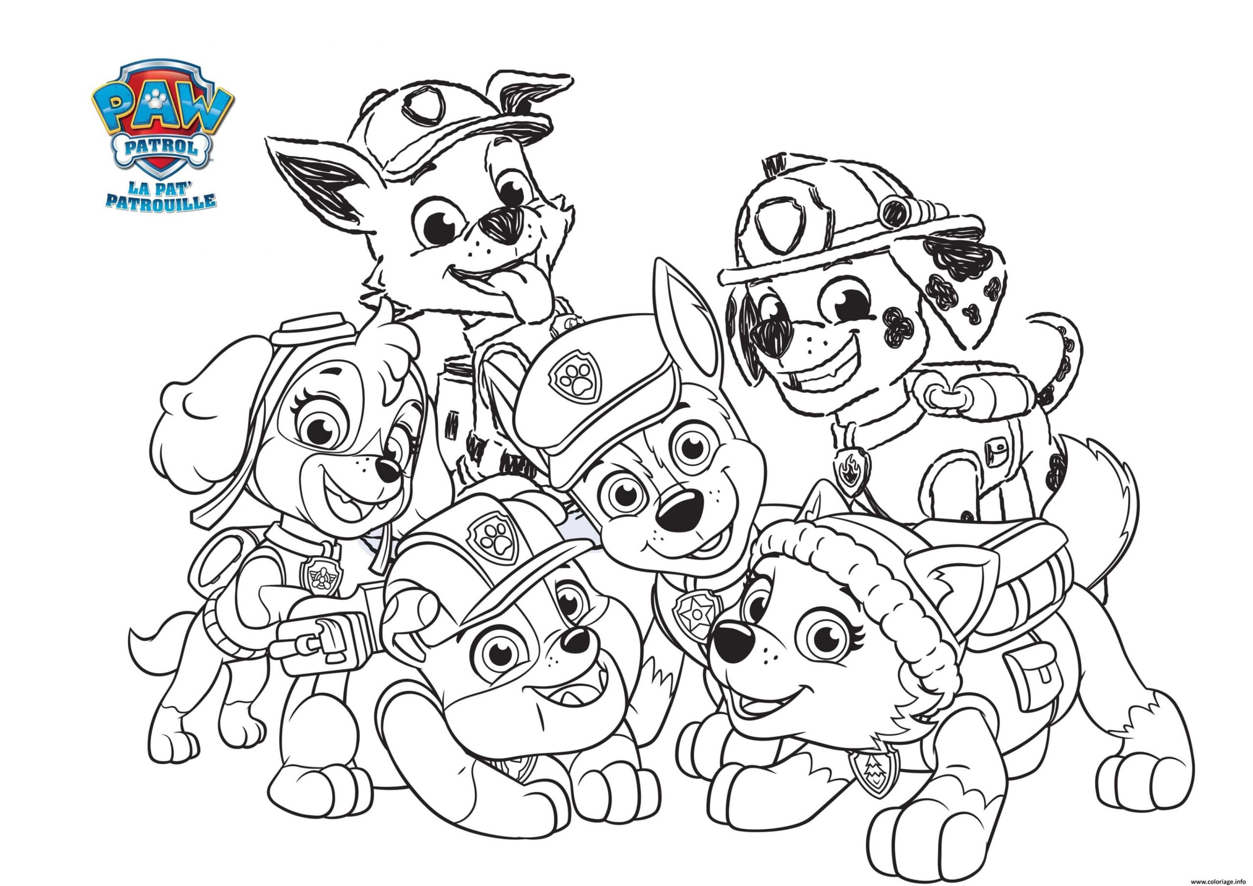Image Coloriage Pat Patrouille Dessin A Imprimer Gfx09 Napanonprofits