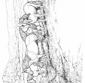 Imprimer Des Coloriages De Chevaux Coloriage D Animaux De La Ferme