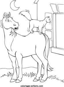 Imprimer Des Coloriages De Chevaux Coloriage De Cheval à Imprimer