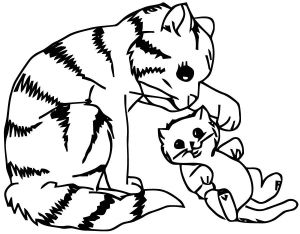 Jeux De Coloriage De Chat Gratuit Coloriage De Chat à Imprimer Frais Dessin Coloriage