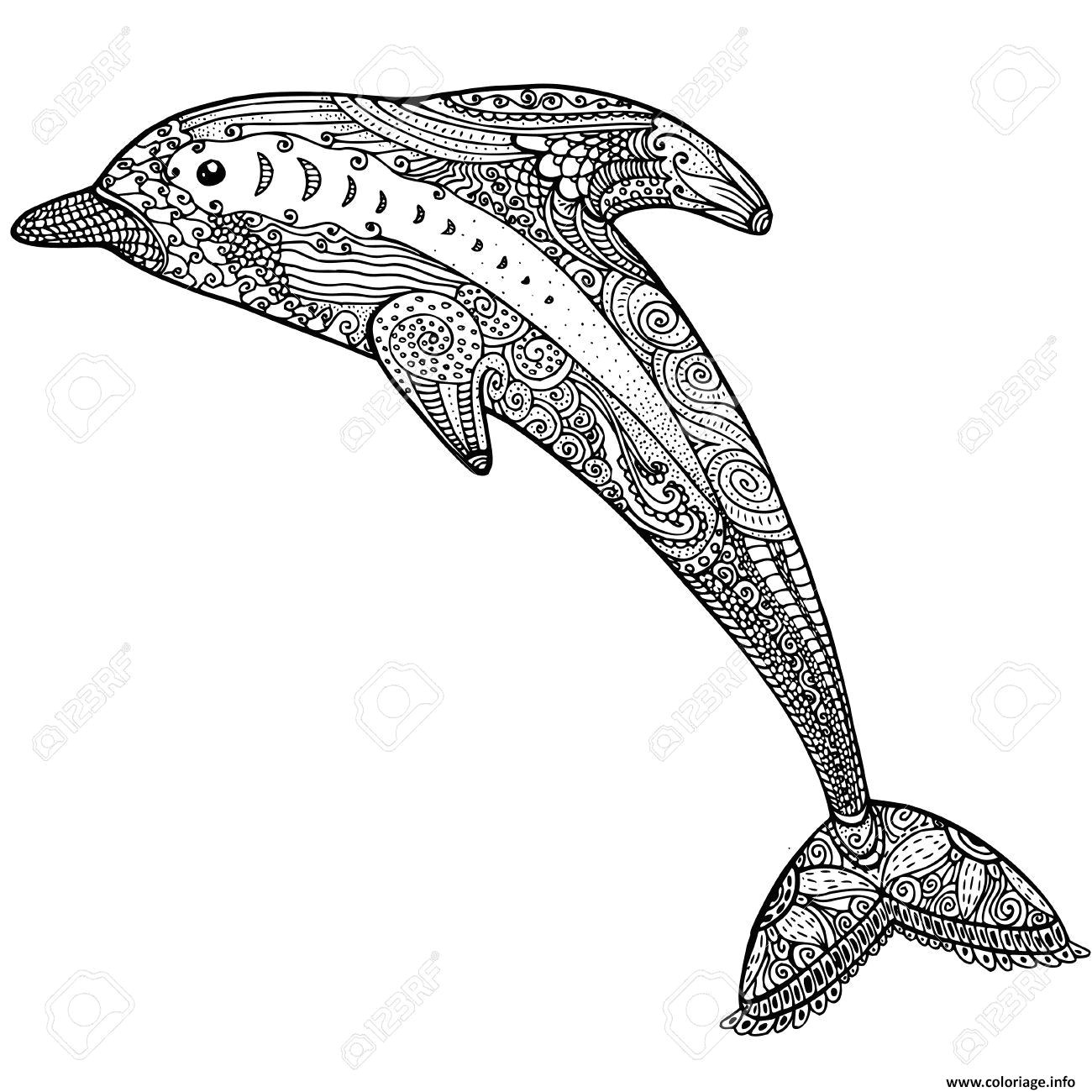 Jeux De Coloriage De Rosace Imprimer Mandala Animaux Dessin A Imprimer Gratuit