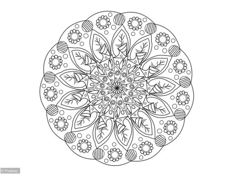 Jeux De Coloriage De Rosace Randonnée Et Balades Idtgv Jardinage Jeux Sports