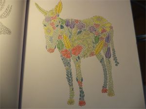 Livre De Coloriage Anti Stress Pour Adultes Tropical Animaux Fantastiques