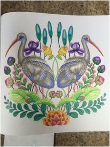 Livre De Coloriage Anti Stress Pour Adultes Tropical Les 132 Meilleures Images De Coloriaged