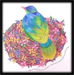 Livre De Coloriage Anti Stress Pour Adultes Tropical Tropical World Millie Marotta Prismacolor Premier