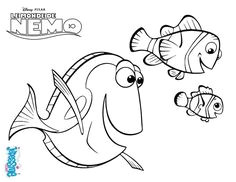 Nemo Coloriage A Imprimer Die 21 Besten Bilder Von Findet Dorie Ausmalbilder