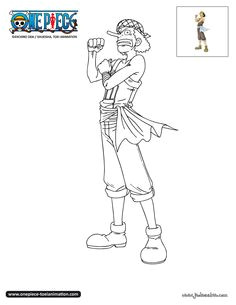 One Piece Zorro Coloriage 30 Best Color E Piece Images