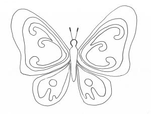Papillon Coloriage A Imprimer Coloriage Papillons A Imprimer Gratuit Coloriage Imprimer