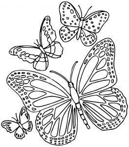 Papillon Coloriage à Imprimer Mandalas Papillon 18 Mandalas – Coloriages à Imprimer