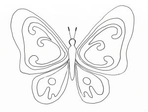 Papillon Coloriage à Imprimer Vol De Papillon Coloriages De Papillons