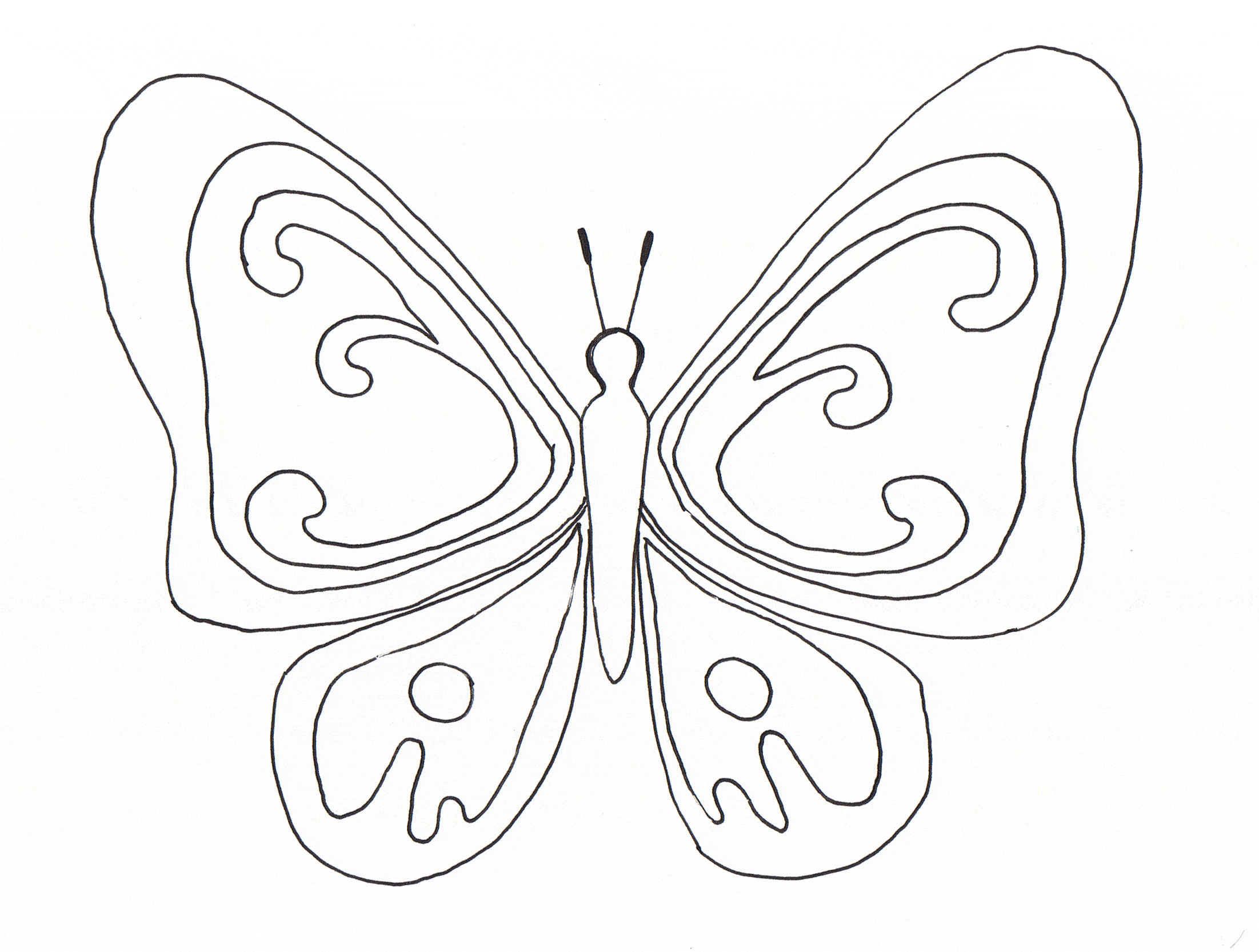 Papillon Coloriage à Imprimer Vol De Papillon Coloriages De Papillons